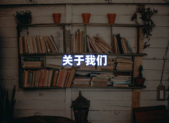 专业团队